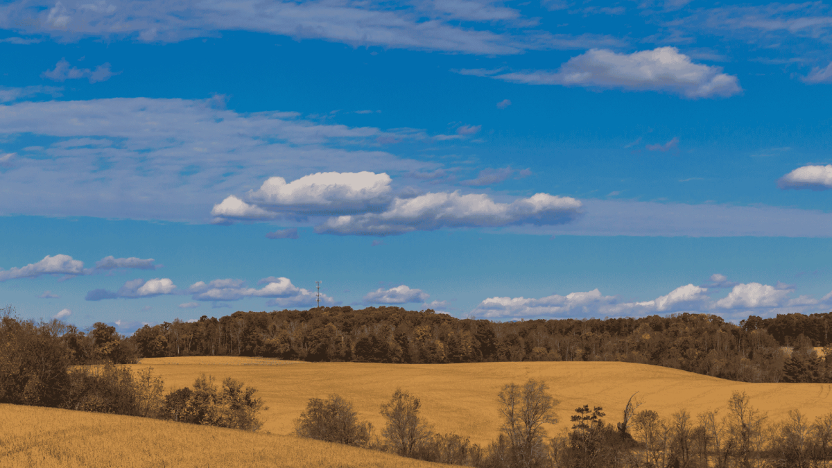 Reach the Whole Yadkin Valley: A Coverage Map