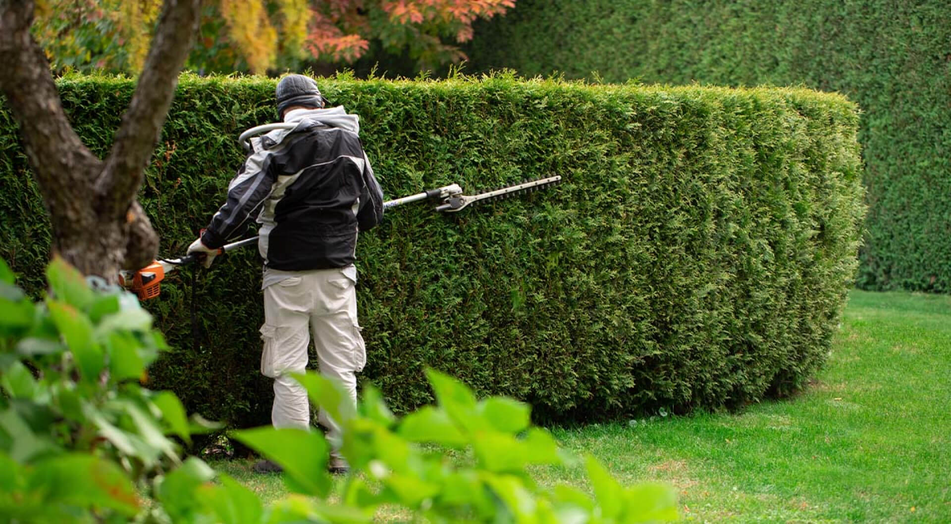 Winter Is The Perfect Time For Lawn And Garden Companies To Advertise On The Radio